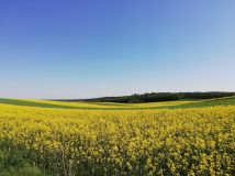 Działka rekreacyjna Polik. Zdjęcie 3