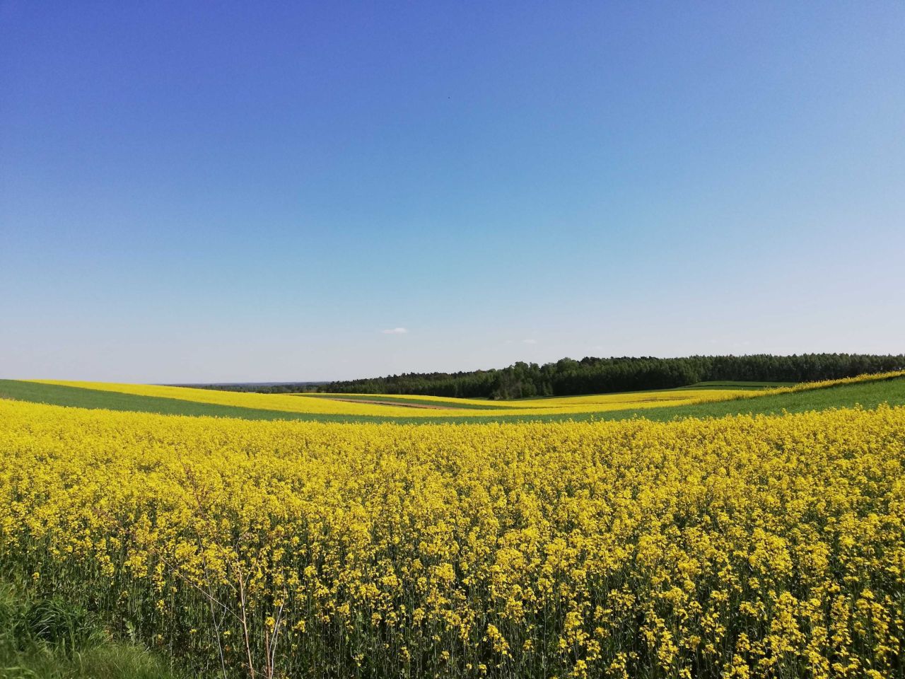 Działka rekreacyjna Polik. Zdjęcie 4