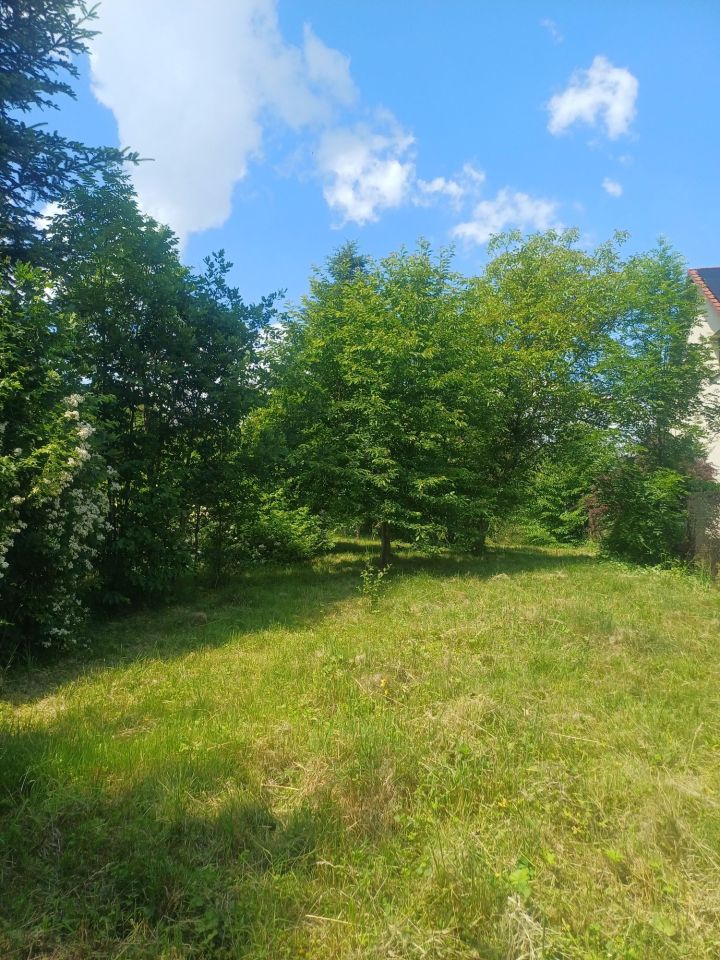 Działka Sienna. Zdjęcie 6