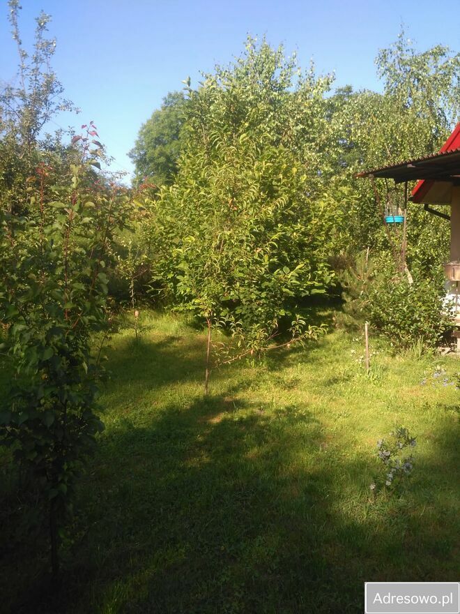 Działka rod Kraków Podgórze, ul. Saska. Zdjęcie 2