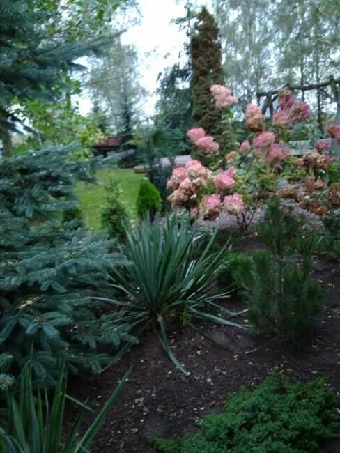 Działka rolno-budowlana Sierzchowy. Zdjęcie 13