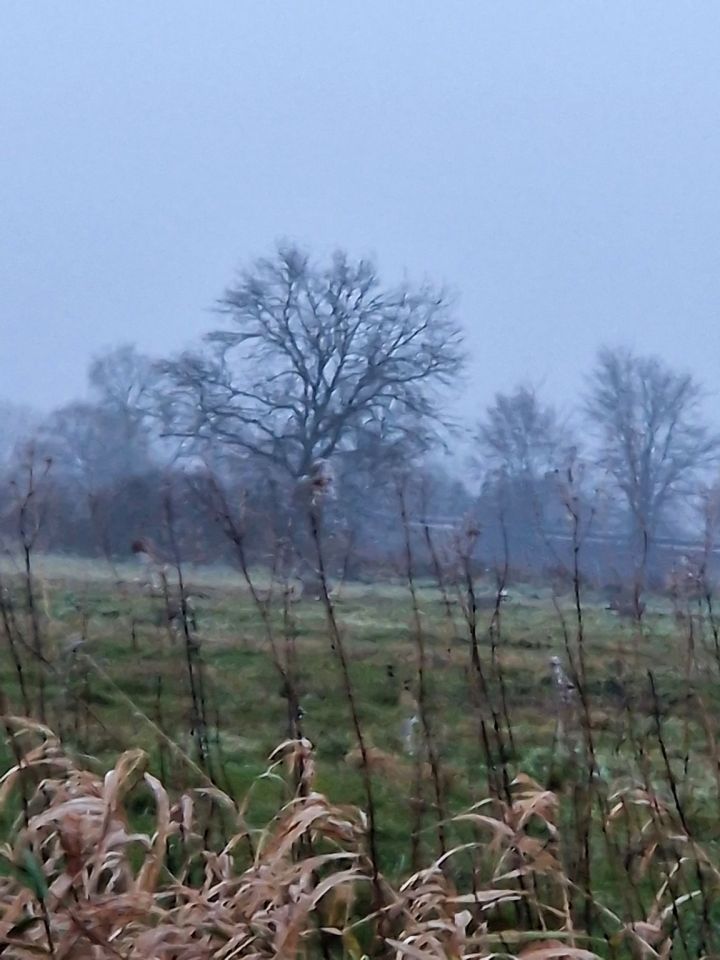 Działka rolna Kuźnica Czarnkowska. Zdjęcie 3
