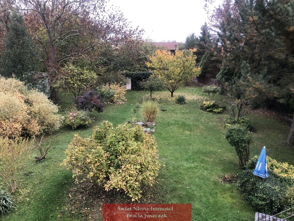 bliźniak Święta Katarzyna. Zdjęcie 22