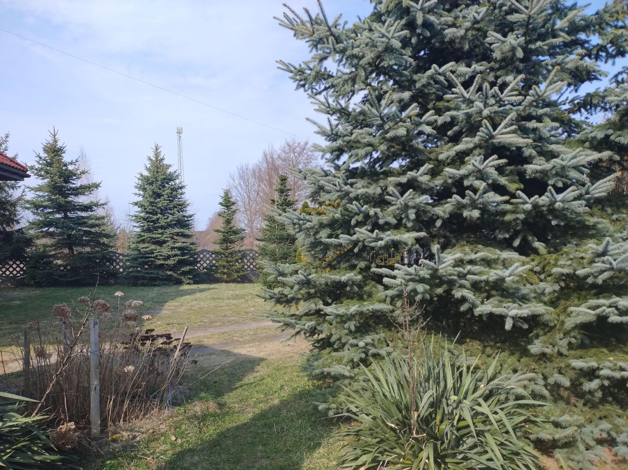 dom wolnostojący, 5 pokoi Babice. Zdjęcie 13