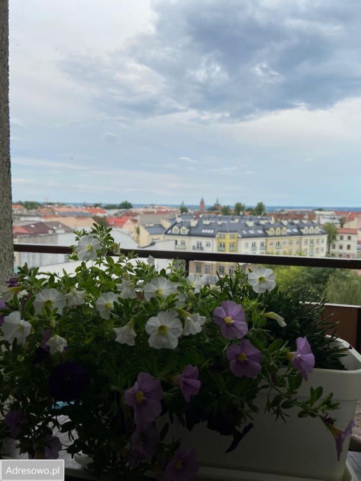 Mieszkanie 3-pokojowe Płock, ul. Królewiecka. Zdjęcie 8