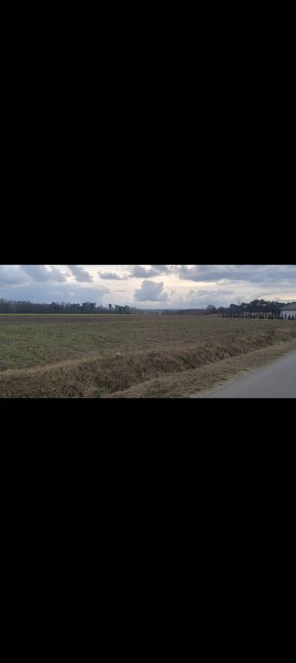 Działka budowlana Żerniki. Zdjęcie 4