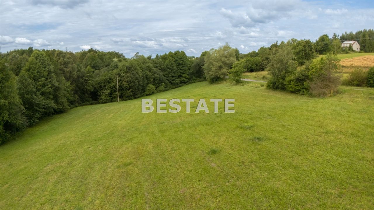 Działka rolna Rzepiennik Strzyżewski. Zdjęcie 9