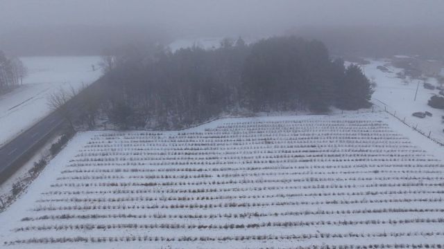 Działka Lubiewice. Zdjęcie 1