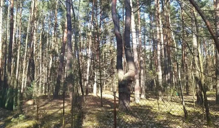 Działka leśna Osiedle Wilga