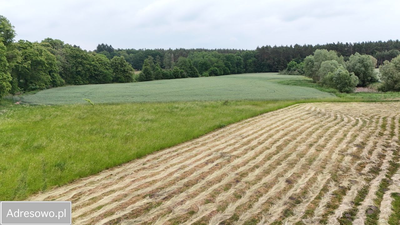 Działka rolno-budowlana Głazów. Zdjęcie 6