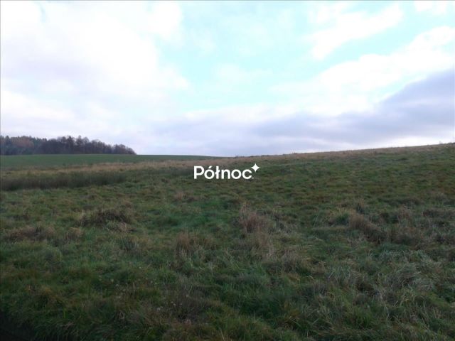 Działka rolna Radogoszcz. Zdjęcie 2