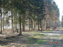 Działka Łukawska Wola. Zdjęcie 3