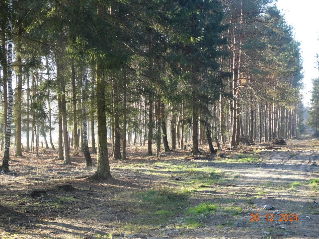 Działka Łukawska Wola. Zdjęcie 4
