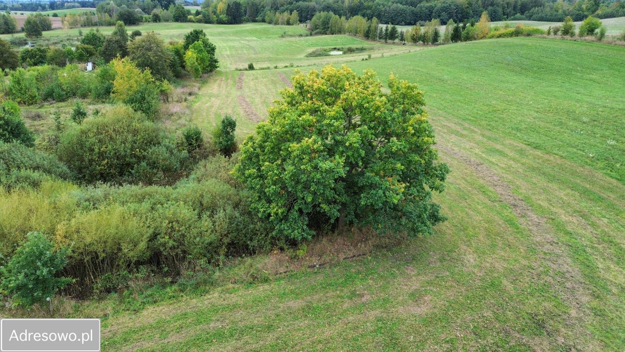 Działka rolna Mostkowo. Zdjęcie 10