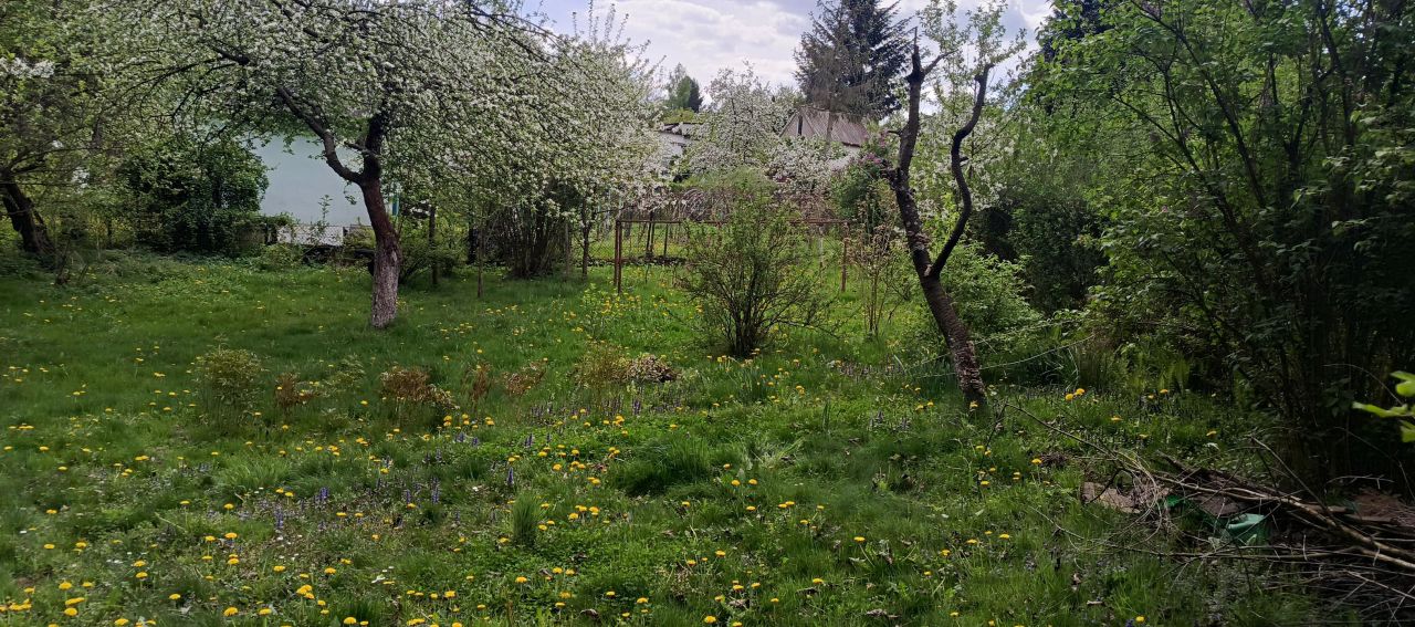 Działka rod Łapczyca. Zdjęcie 2