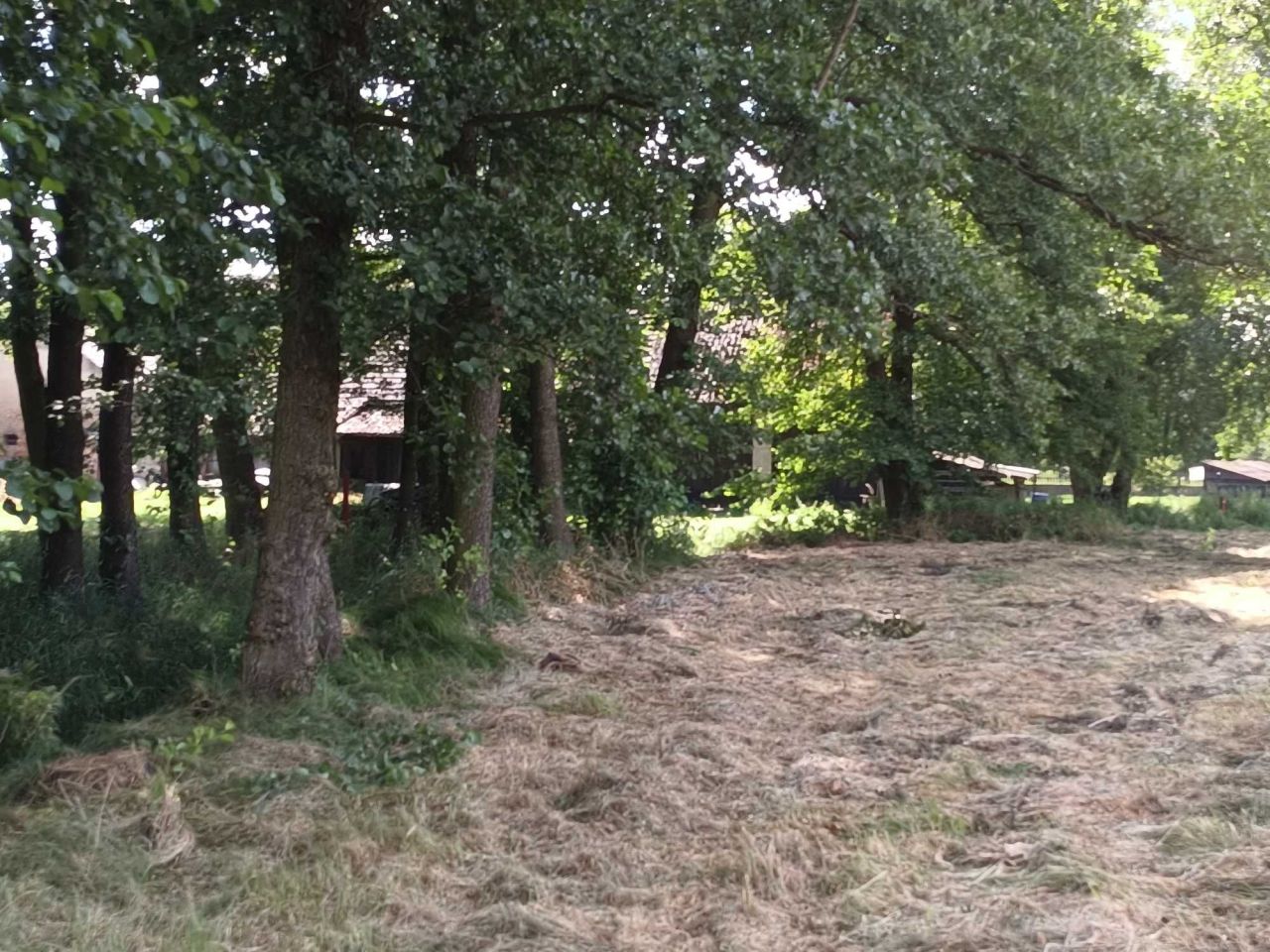 Działka rolna Rybnik. Zdjęcie 7