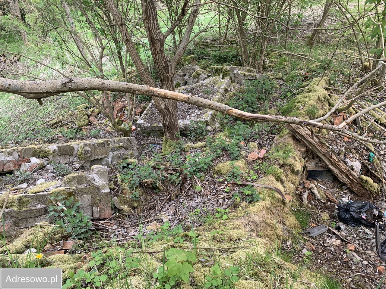 Działka budowlana Miałka. Zdjęcie 7