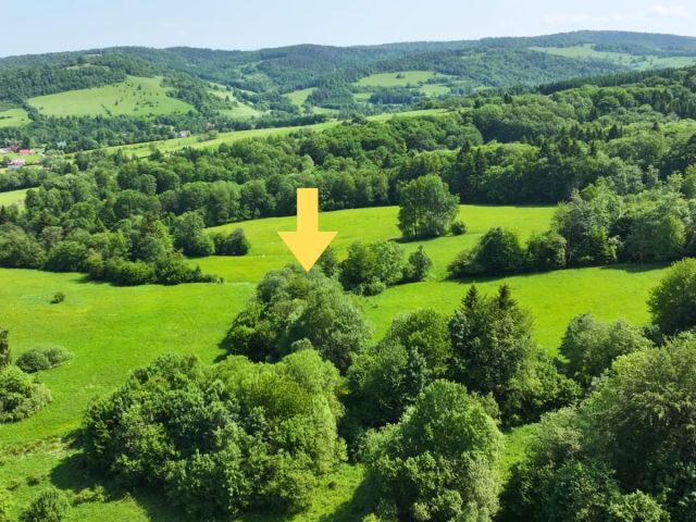 Działka rolna Baligród. Zdjęcie 4