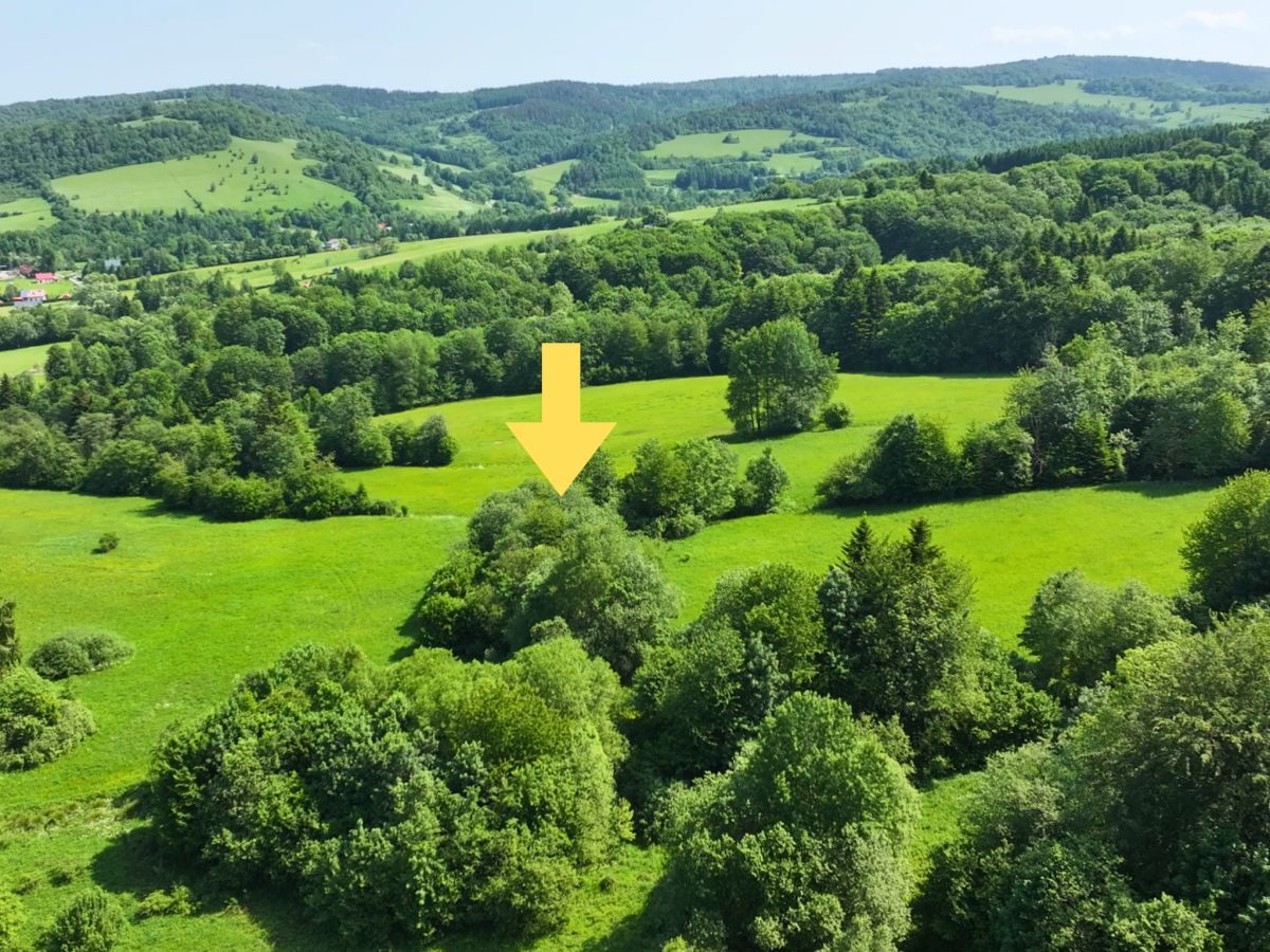 Działka rolna Baligród. Zdjęcie 4