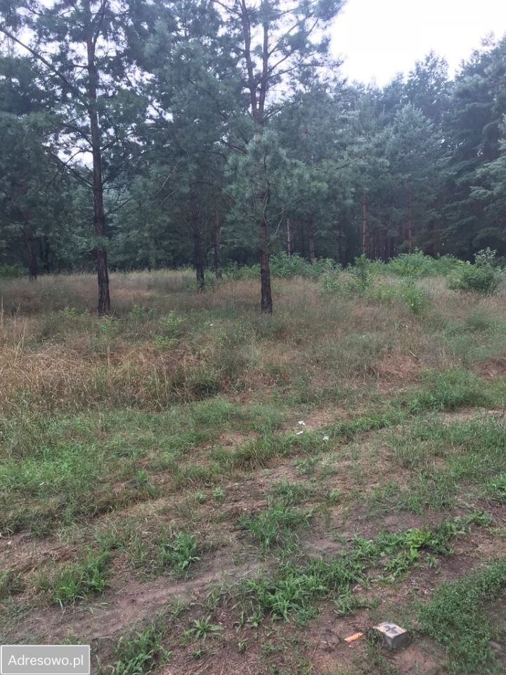 Działka budowlana Nowe Biskupice. Zdjęcie 4