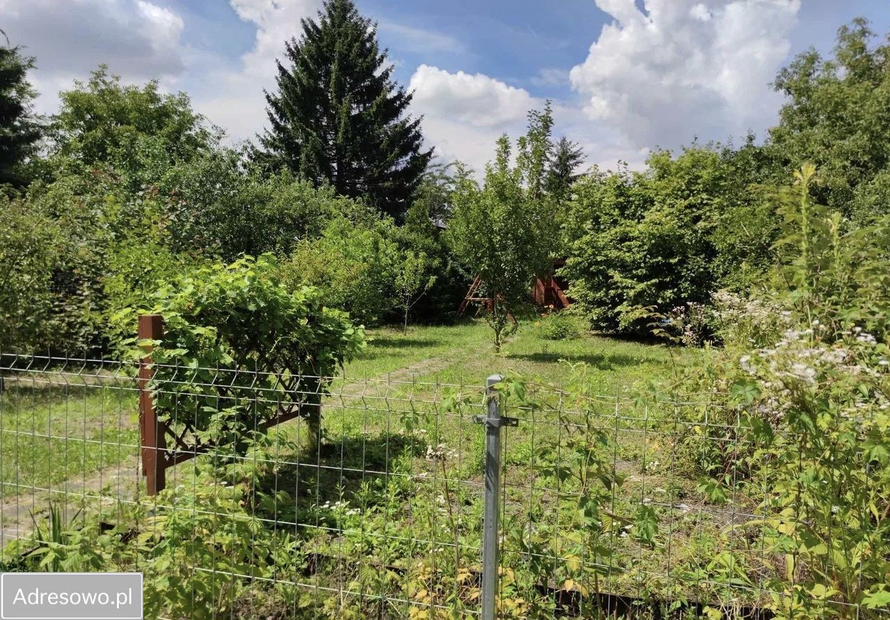 Działka rod Wrocław Tarnogaj, al. Armii Krajowej. Zdjęcie 2