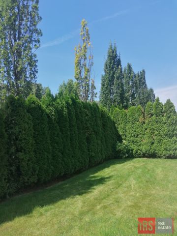 Mieszkanie 3-pokojowe Warszawa Wilanów, ul. Syta. Zdjęcie 9