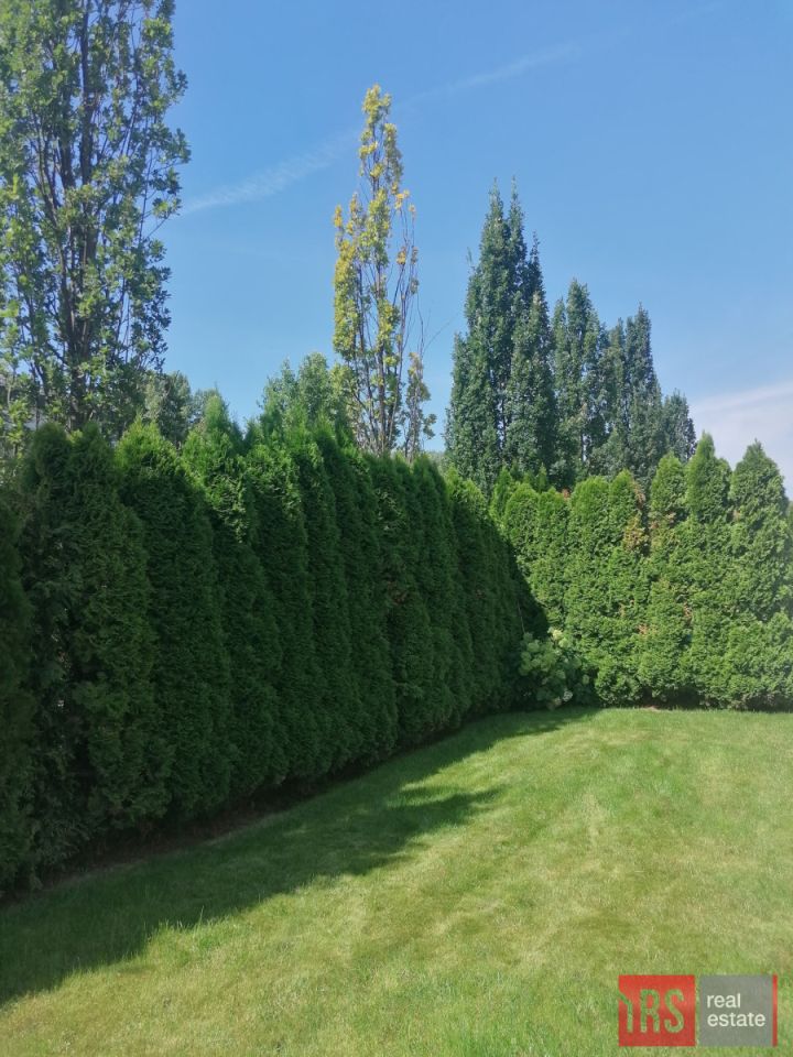 Mieszkanie 3-pokojowe Warszawa Wilanów, ul. Syta. Zdjęcie 9