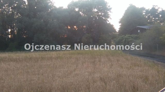 Działka rolna Chrystkowo. Zdjęcie 6