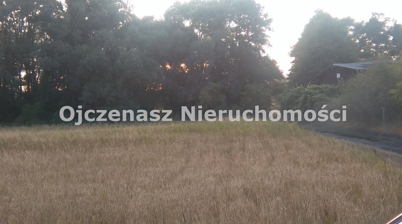 Działka rolna Chrystkowo. Zdjęcie 6