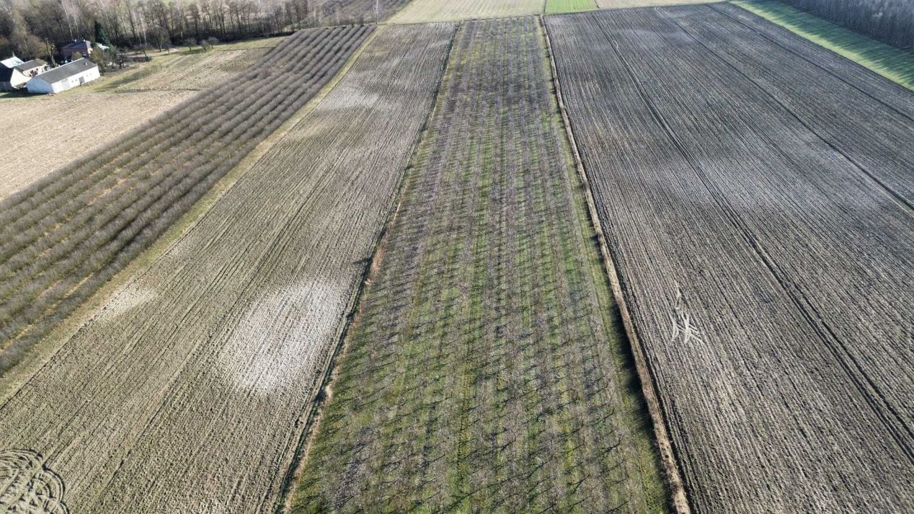 Działka rolna Boiska-Kolonia. Zdjęcie 5