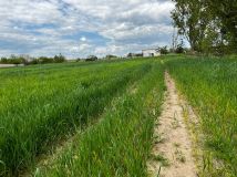 Działka budowlana Goszków. Zdjęcie 1