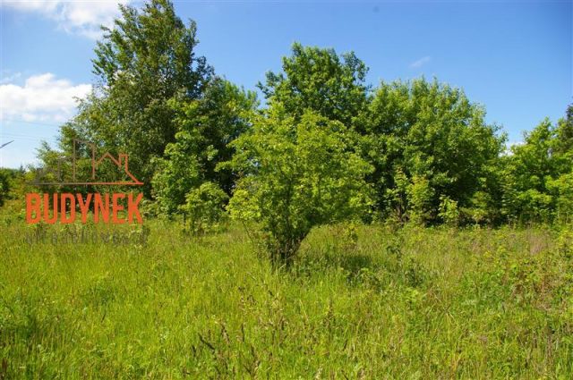 Działka siedliskowa Jeżyce. Zdjęcie 11
