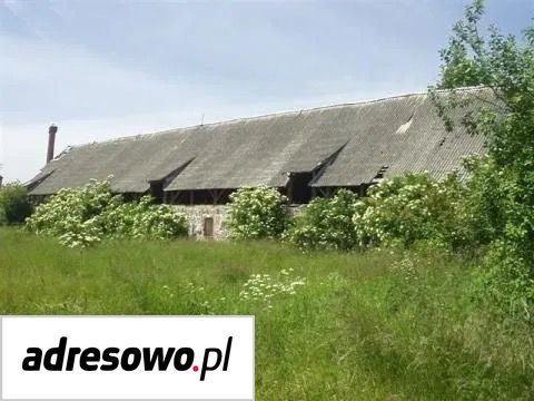 Działka inwestycyjna Dołgie. Zdjęcie 17