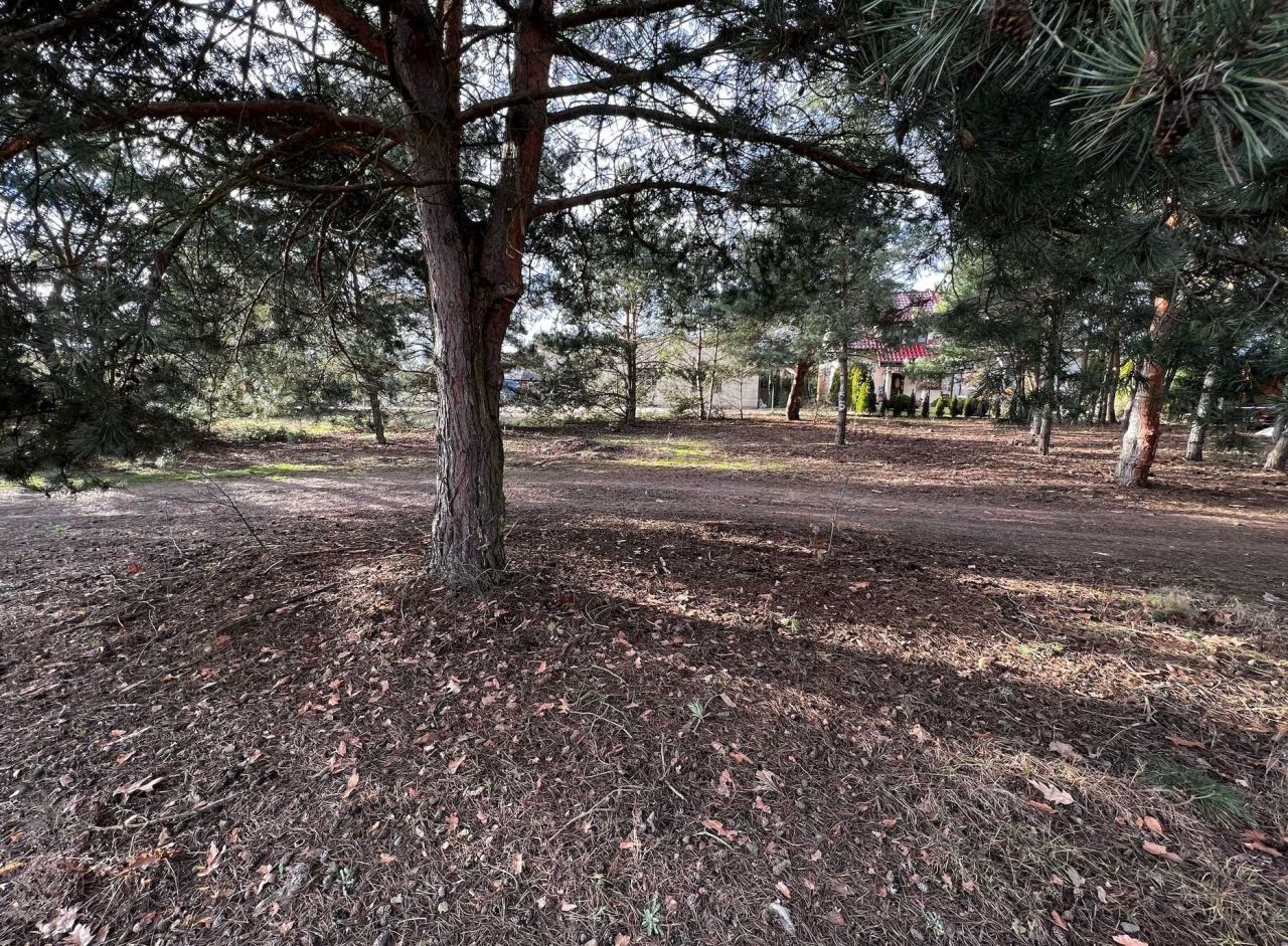 Działka inwestycyjna Gołuski. Zdjęcie 8