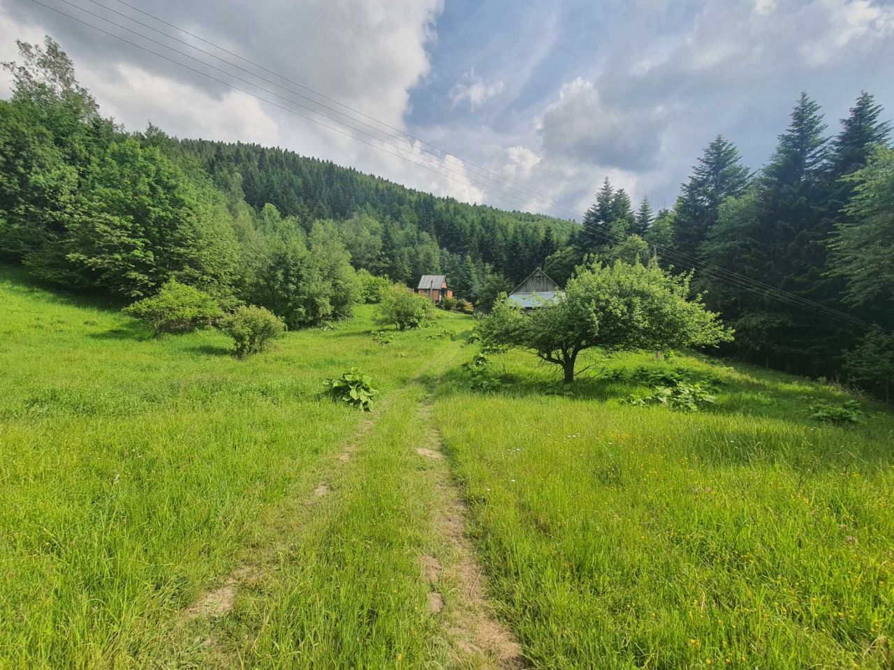 Działka rolno-budowlana Zawoja Mosorne. Zdjęcie 6