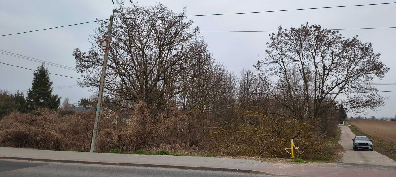 Działka budowlana Szpetal Górny, ul. Dobrzyńska. Zdjęcie 5