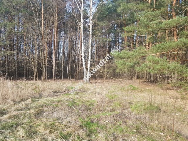 Działka budowlana Bieniewiec. Zdjęcie 1