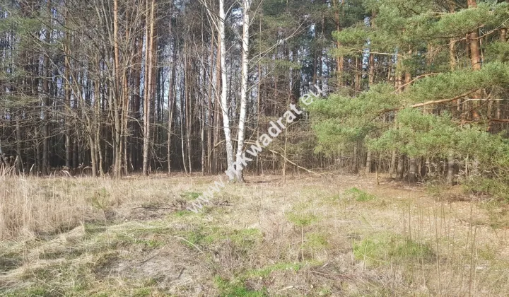 Działka budowlana Bieniewiec