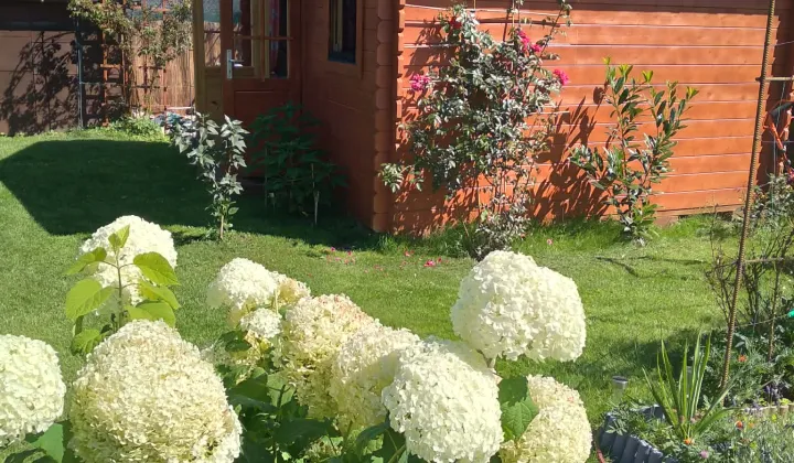 Działka rod Ruciane-Nida, ul. Kolejowa