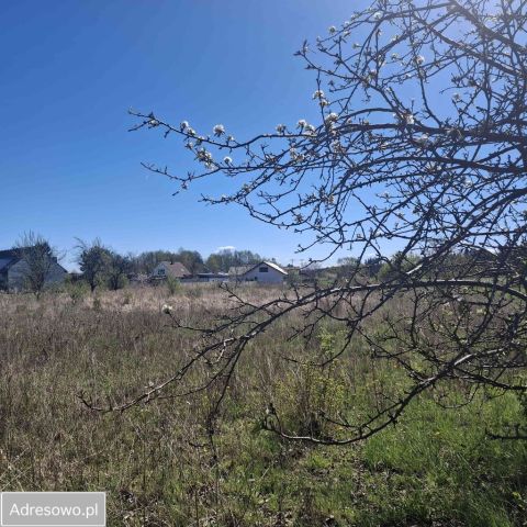 Działka budowlana Wronki, ul. Piaskowa. Zdjęcie 1