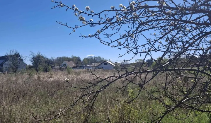 Działka budowlana Wronki, ul. Piaskowa
