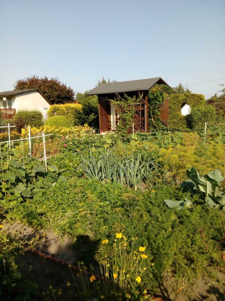 Działka rod Radomsko. Zdjęcie 4