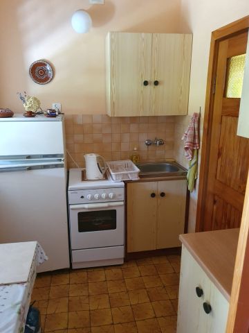 Działka rod Koninko, ul. Porzeczkowa. Zdjęcie 13