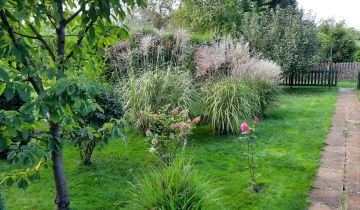 Działka rod Toruń, ul. Stanisława Przybyszewskiego