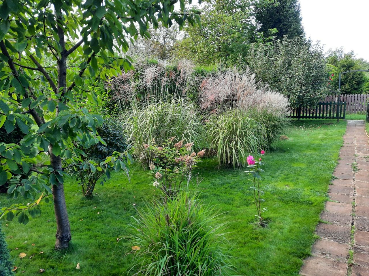 Działka rod Toruń, ul. Stanisława Przybyszewskiego. Zdjęcie 2