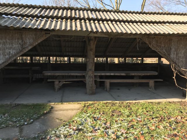 siedlisko Typin. Zdjęcie 3