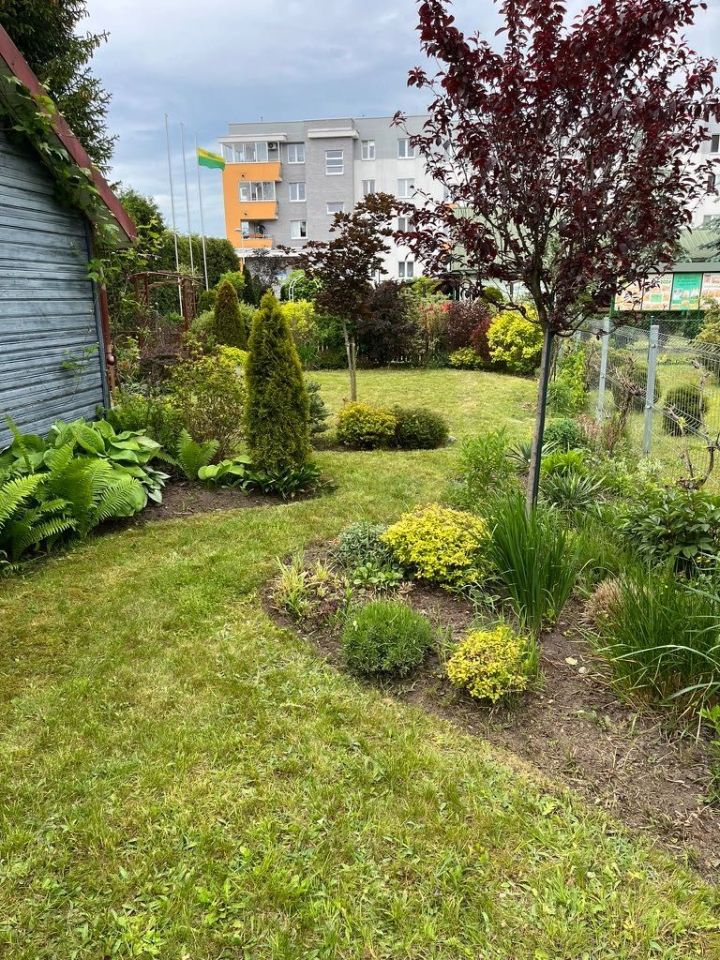 Działka rod Białystok Wygoda, ul. 42 Pułku Piechoty. Zdjęcie 3