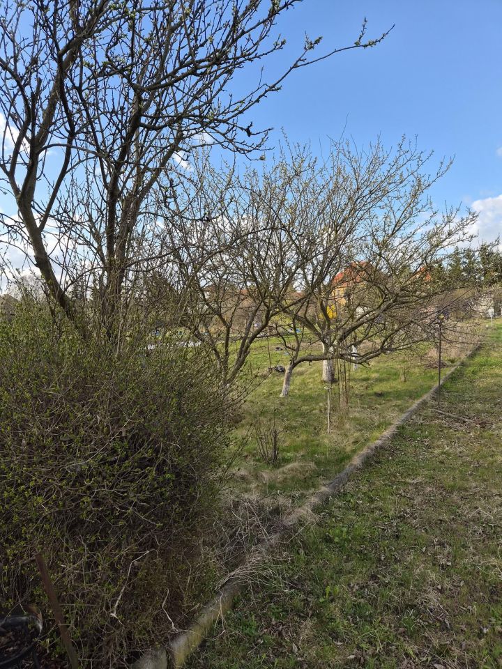 Działka rekreacyjna Wrocław Klecina, CZEKOLADOWA. Zdjęcie 2