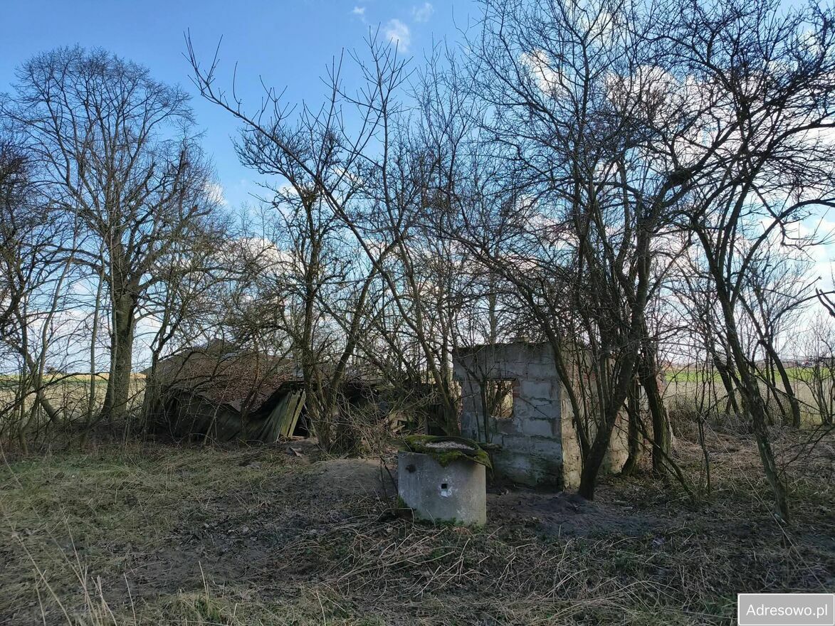 siedlisko, 3 pokoje Łubki. Zdjęcie 6