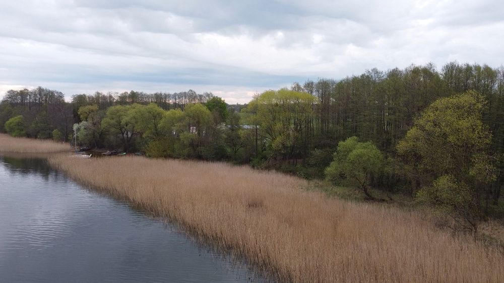 Działka siedliskowa Rajgród. Zdjęcie 3